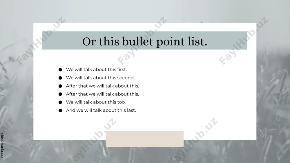 presentation template "introduction to animals" - Page 4
