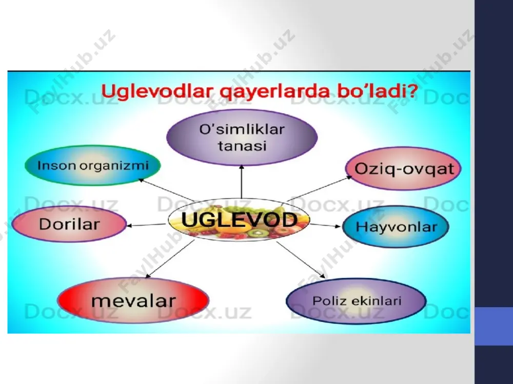 yukoza retseptorlari deb hann ataladi. glyutlaming 5 tipi aniqlangan bo‘ lib, ulaming birlamchi strukturasi va domen birlashmasi bir-biriga o xshash. glyut- i miyada glyukozaning stabil oqimini ta’minlaydi; glyut-2 glyukozani qonga chiqaradigan a’zolar hujayralarida topilgan. glyut-2 ishtirokida glyukoza jigar va enterotsitlardan qonga o‘tadi. glyut-2 oshqozon osti bezi p-hujayralaridan glyukozaning tashilishida ishtirok etadi; glyut-3, glyut-1 ga nisbatan glyukoza bilan yaxshiroq bogtanadi. u ham glyukozani nerv hujayralari va boshqato‘qimalarga doimiy tushib turishini ta minlaydi; glyut-4 - yog‘ to‘ qimasi va mushak hujayralarida glyukozaning asosiy tashuvclıisi; glyut-5 asosan ingichka ichak hujayralarida uchraydi. uning vazifasi to“ liq o‘rganilmagan. glikogen almashinuvi hazmlanishda hujayraga tushadigan glyukozaning ma’lum bir qismi, ovqat iste moli oralig‘idagi intervalda sartlanadigan, zaxira polisaxaridi - glikogenda aylanadi. glikogen tuzilishi jihatidan kraxmal (amilopektin)gao‘xshaydi.glikogen-glyukoza qoldig‘ining shoxlanish nuqtalarida monomerlaming ct-1,6 glikozid bog‘1ari bilan, chiziqli sohalarida a-1,4 glikozid bogflar bilan birikuvchi, glyukozaning shoxlangan gomopolimeridir. ushbu bog'1iqlik taxminan har o‘ninchi glyukoza qoldig‘ ida shakllanadi. shunga ko‘ra, glikogenda shoxlanish nuqtalari, …