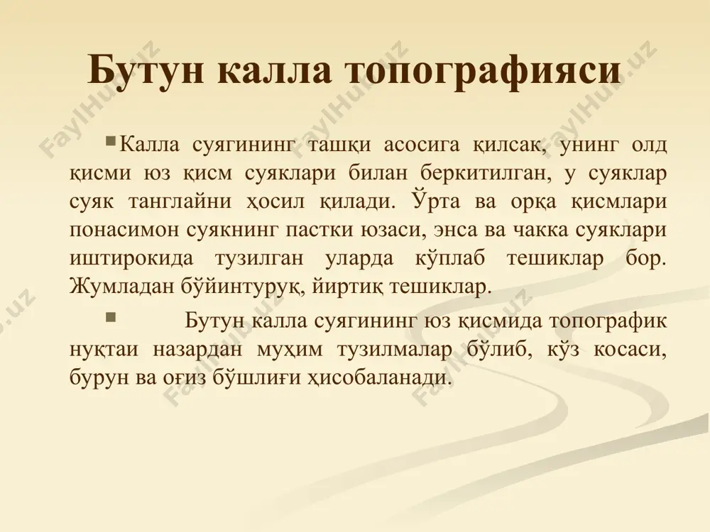 cus zygomaticus билан чегараланган. чакка чуқурчаси эътиборингиз учун рахмат ! eye bone anatomy eye bone anatomy human body diagram