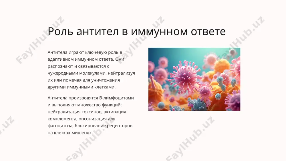 боте иммунной системы. ранняя диагностика и своевременное лечение важны для минимизации вреда. 12 регуляция иммунного ответа иммунный ответ находится под тонким контролем различных регуляторных механизмов, которые обеспечивают баланс между эффективным уничтожением патогенов и предотвращением повреждения собственных клеток организма. ключевую роль в этом играют т-регуляторные клетки, подавляющие чрезмерную активацию других клеток иммунной системы. другие регуляторные механизмы включают сигнальные молекулы, такие как цитокины, которые координируют работу иммунных клеток, и рецепторы, передающие внешние сигналы во внутрь клетки. сбалансированная регуляция гарантирует эффективный, но контролируемый иммунный ответ, предотвращающий развитие аутоиммунных заболеваний. 13 иммунотерапия и вакцинация иммунотерапия иммунотерапия - перспективное лечение, использующее возможности иммунной системы для борьбы с заболеваниями, в том числе с раком. она включает в себя различные методы стимуляции, модуляции или восстановления функций иммунной системы. вакцины вакцины представляют собой ослабленные или неактивные патогены, которые стимулируют иммунный ответ организма без вызывания заболевания. это эффективный способ защиты от инфекционных болезней, спасающий миллионы жизней ежегодно. экспериментальные подходы …