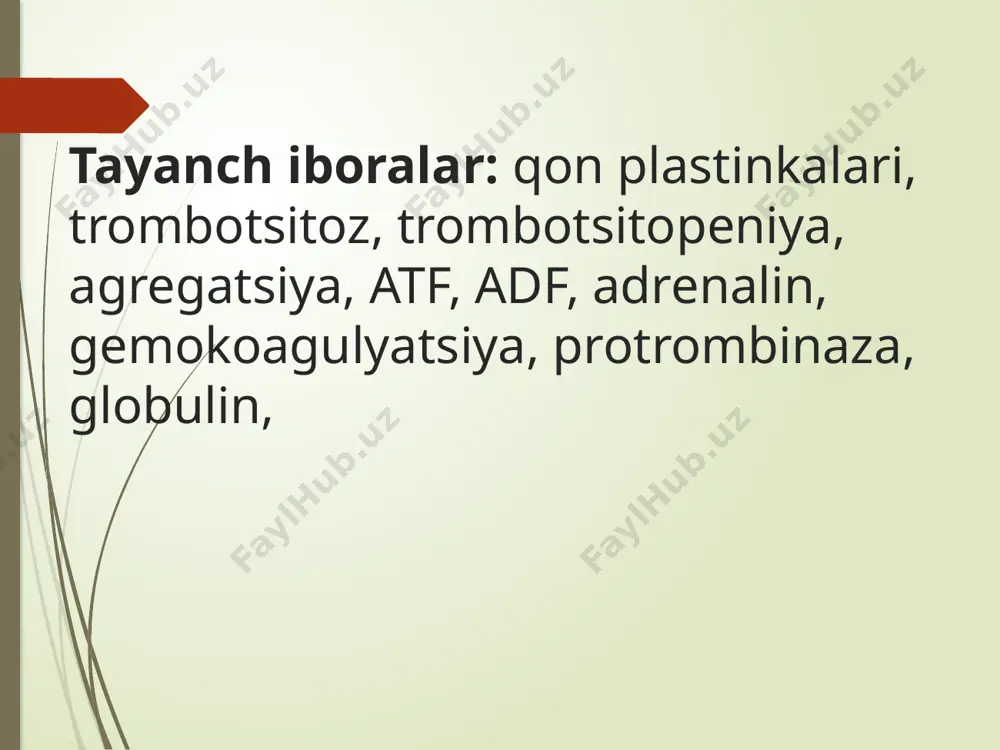 ar mavjud? 9 trombotsitlar. t yoki qon plastinkalari, suyak ko‘migining gigant hujayralaridan hosil bo‘ladi. t yumaloq yoki biroz oval yassi shaklga ega, ularning diametri 2-5 mkm ga teng. t yadrosiz, lekin ularda (200ga yakin) granulalar mavjud. qon tomir endoteliysidan boshqa yuzaga tekkanda trombotsitlar faollashadi. trombotsit diametridan 5-10 marta katta 10 ga yaqin o‘simta hosil bo‘ladi. bu o‘simtalar qon oqishini to‘xtatishda katta ahamiyatga ega. odamlar qonidagi trombotsitlar miqdori 180-320x109/l yoki 1 mkl qonda 180000 – 320000 ni tashkil qiladi. trombotsitlar qondagi miqdorining ortishi trombotsitoz, kamayishi esa trombotsitopeniya deb ataladi. qon ivishini faktorlari bir xilmi? aniqlash zarur! -k vitamin etishmaganda -ovqat ta’sirida yuzaga kelganda -antibiotiklar bilan ichak mikrofloralari uldirilganda 1-rasm -mos kelmagan qon quyilganda trombotsitlar quyidagi funksiyalarni bajaradi: angiotrofika – qon tomirlar epitelisini oziqlantirish; -trombotsitar tromb hosil kilish; qon ivishi va fibrinolizda ishtirok etish; -jarohatlangan qon tomirlarini toraytirish. trombotsitlarning asosiy funksiyasi gemostazda ishtirok etishidir. trombotsitlar har xil yot yuzaga (adgeziya) xamda bir-biri …