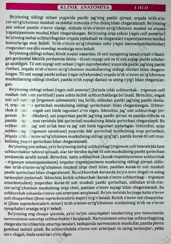 bo'yin sohalari va iuchtdrehakiand - Page 2