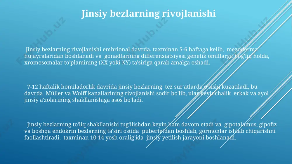nsiy bezlar, masalan, tuxumdonlar va moyaklar, gormonlar ishlab chiqarish orqali 12-15 yosh atrofida reproduktiv salomatlikning boshlanishini belgilab beradi va bu jarayon hayot davomida davom etadi. reproduktiv salomatlikka ta'sir etuvchi omillar orasida genetika, atrof-muhit omillari va kamida 30% hollarda turmush tarzining noto'g'riligi (masalan, chekish) kiradi. erkak jinsiy bezlari (testeslar) erkak jinsiy bezlari (testeslar) taxminan 25-35 gramm og'irlikda bo'lib, skrotum deb ataluvchi qopchali qismda joylashgan va tana haroratidan 2-3 daraja pastroq haroratni saqlashga mo'ljallangan. spermatogenez jarayoni testeslar ichidagi seminifer naychalarda sodir bo'lib, kuniga taxminan 100 million dan ortiq spermatozoidlar hosil bo'ladi. bu jarayon gormonlar, xususan testosteron ta'sirida sodir bo'ladi. testeslar faqatgina spermatozoidlarni ishlab chiqarish bilan cheklanmaydi, balki erkaklarning ikkilamchi jinsiy belgilarini rivojlanishiga ta'sir qiluvchi testosteron kabi muhim gormonlarni ham ishlab chiqaradi, ularning miqdori yoshga bog'liq holda 7-9 mg/dl oralig'ida o'zgarib turadi. jinsiy bezlar va qarish jinsiy bezlarning funksiyasi 40 yoshdan keyin sezilarli darajada pasayadi, bu esa ayol va erkaklarda gormonlar darajasining 10-20% …