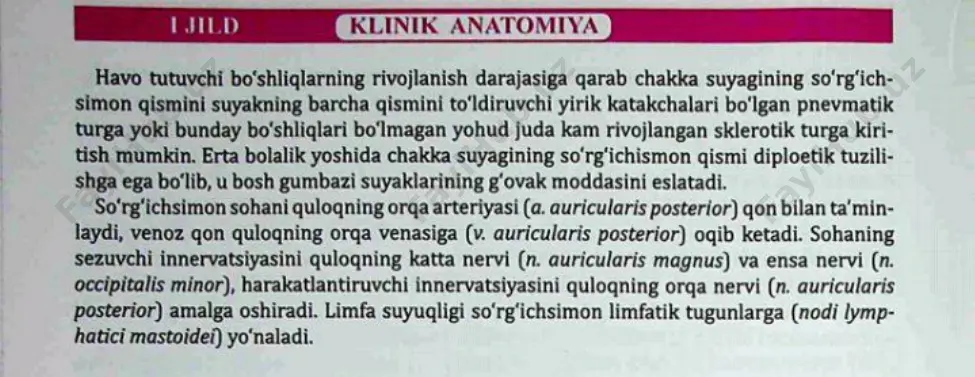 suyak o'simtasining anatomiyasi - Page 3