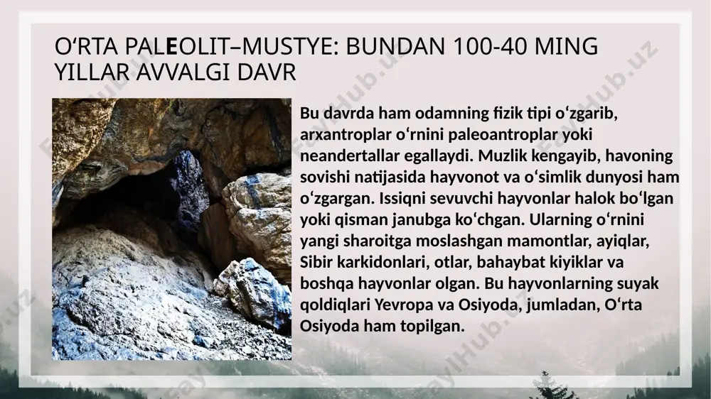 bal.da joylashgan. gʻorning shipi teshik, nomi ham shundan, kirish qismi shim.sharq tomonga qaragan boʻlib bal. 7 m, eni 20 m, uz. 21 m. teshiktosh g`ori haqida uning umumiy maydoni 300 kv m boʻlib, shundan 100 kv. m joy i neandertallar yashaganligidan guvoxlik beruvchi arxeologik materiallarga ega. t.gʻ. yashash uchun qulayligi tufayli gʻorni vaqtvaqti bilan suv bosib turishiga qaramasdan neandertal odamlar uni butunlay tark etmaganlar. gʻorni birinchi marta 1938—39 yillarda a. p. okladnikov oʻrgangan. t.gʻ. 5 ta madaniy qatlamdan iborat boʻlib, bu manzilgoh bir necha marotaba tark etilganidan dalolat beradi. teshiktosh g`ori haqida gʻorning har bir qatlamida bittadan va baʼzilarida ikkitadan gulxan qoldiqlari saqlanib qolgan. gulxanlar atrofida koʻplab togʻ echkisi, bugʻu, sirtlon, ayiq, quyon va har xil qushlarning suyak qoldiqlari, 3000 ga yaqin tosh buyum, tosh uchirindisidan tayyorlangan uchburchak shakldagi 24 ta qurol, qirquvchi va tarashlovchi sifatida ishlatilgan 65 ta qirgʻich, paykonlar, tosh pichoqlar topilgan. mustye madaniyatiga oid bu xiddagi qurollarning …
