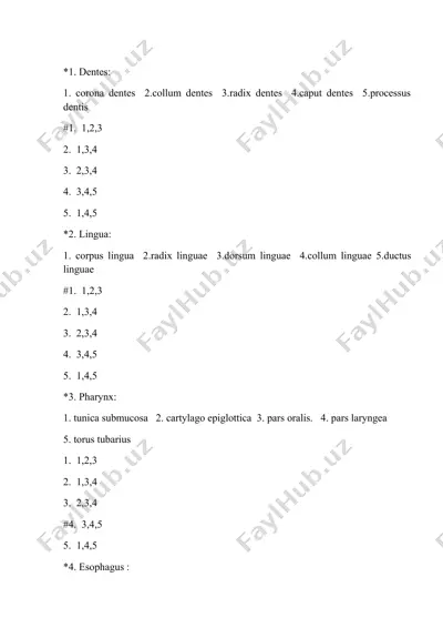 intestinum tenue — DOCX