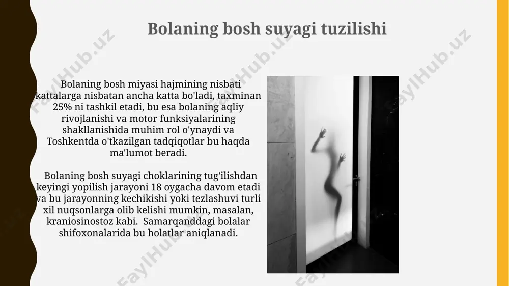 bolalar gavda tuzilishining hususiyatlari - Page 5