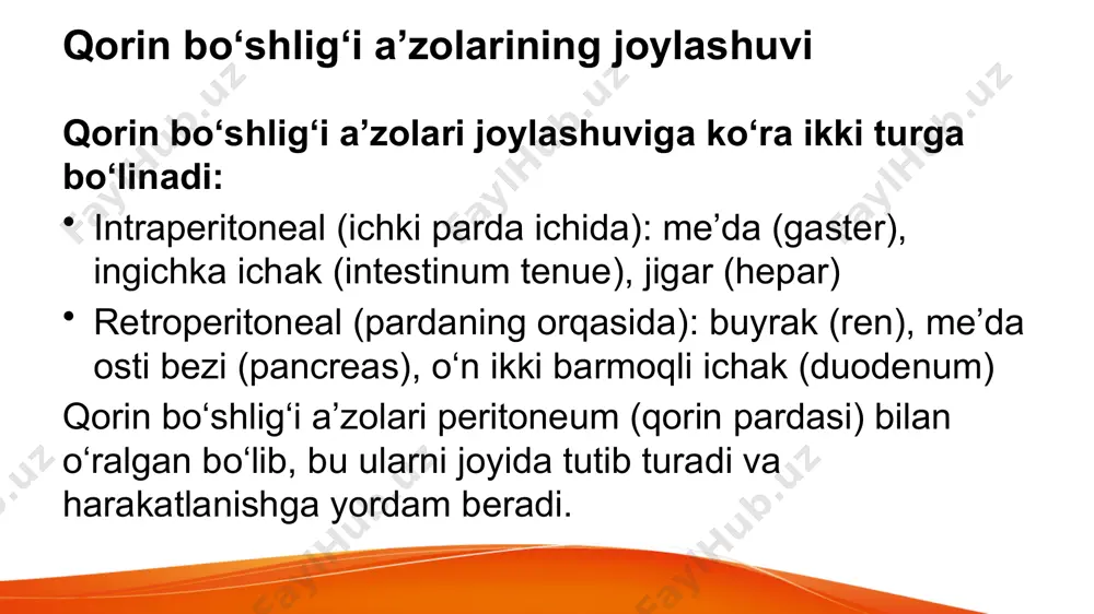 qorin bo'shlig'i a'zolari.me'da anatomiyasi - Page 4