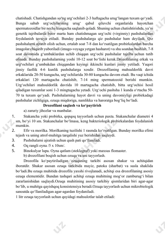 biri bir necha o‘nlab tuxum naychalariga ega bo‘lib, tuxum yo‘li, 3 ta urug‘ qabul qilgich va jinsiy bezlardan iboratdir.gametogenez. drozofila pashshasida, erkaklarida spermatogenez, urg‘ochilarida oogenez jarayoni o‘tadi. spermatogenezda meyoz natijasida spermatosid -1 dagi diploid hujayradan spermatozoidga aylanuvchi 4 ta gaploid xromosomaga ega bo‘lgan spermatidlar hosil bo‘ladi.urg‘ochilarida oosit-1 metafaza davrida bo‘lib, meyozning ikkinchi davra bo‘linishi urug‘langan tuxumlarda sodir bo‘ladi. shuni aytish kerakki, drozofilaning erkaklarida profaza i ning bosqichlari - leptonema, zigonema, paxinema bo‘lmaydi. xiazma hosil bo‘lmay, krossingover ketmaydi.drozofila poligam organizmlar qatoriga kiradi. uning urg‘ochisi bir necha marotaba har xil erkaklar bilan chatishadi. chatishgandan so‘ng urg‘ochilari 2-3 haftagacha urug‘langan tuxum qo‘yadi. bunga sabab urg‘ochilarining urug‘ qabul qiluvchi organlarida hayotchan spermatozoidlar bir necha kungacha saqlanib qoladi. shuning uchun chatishtirishda, ya’ni genetik tajribalarda biror marta ham chatishmagan urg‘ochi (virginniy) pashshalardan foydalanish tavsiya etiladi. bunday pashshalarga qiz pashshalar ham deyiladi. qiz pashshalarni ajratib olish uchun, ertalab soat 7-8 dan ko‘rsatilgan probirkalardan barcha imagolar chiqarib yuboriladi …