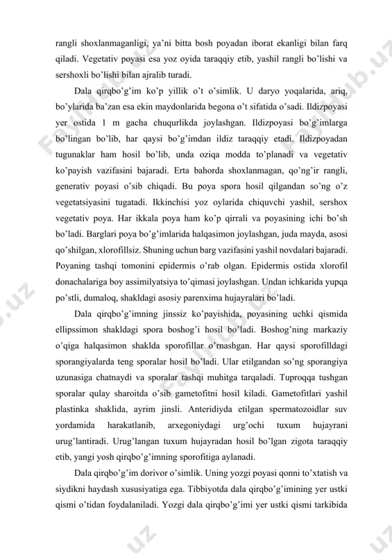 ngli, generativ poyasi o’sib chiqadi. bu poya spora hosil qilgandan so’ng o’z vegetatsiyasini tugatadi. ikkinchisi yoz oylarida chiquvchi yashil, sershox vegetativ poya. har ikkala poya ham ko’p qirrali va poyasining ichi bo’sh bo’ladi. barglari poya bo’g’imlarida halqasimon joylashgan, juda mayda, asosi qo’shilgan, xlorofillsiz. shuning uchun barg vazifasini yashil novdalari bajaradi. poyaning tashqi tomonini epidermis o’rab olgan. epidermis ostida xlorofil donachalariga boy assimilyatsiya to’qimasi joylashgan. undan ichkarida yupqa po’stli, dumaloq, shakldagi asosiy parenxima hujayralari bo’ladi. dala qirqbo’g’imning jinssiz ko’payishida, poyasining uchki qismida ellipssimon shakldagi spora boshog’i hosil bo’ladi. boshog’ning markaziy o’qiga halqasimon shaklda sporofillar o’rnashgan. har qaysi sporofilldagi sporangiyalarda teng sporalar hosil bo’ladi. ular etilgandan so’ng sporangiya uzunasiga chatnaydi va sporalar tashqi muhitga tarqaladi. tuproqqa tushgan sporalar qulay sharoitda o’sib gametofitni hosil kiladi. gametofitlari yashil plastinka shaklida, ayrim jinsli. anteridiyda etilgan spermatozoidlar suv yordamida harakatlanib, arxegoniydagi urg’ochi tuxum hujayrani urug’lantiradi. urug’langan tuxum hujayradan hosil bo’lgan zigota taraqqiy etib, yangi yosh qirqbo’g’imning …