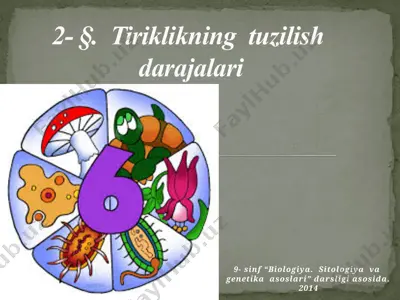 tiriklikning tuzilish darajalari. 9 - sinf — PPTX