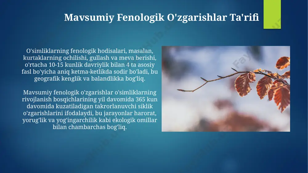 mavsumiy fenologik o'zgarishlar - Page 3
