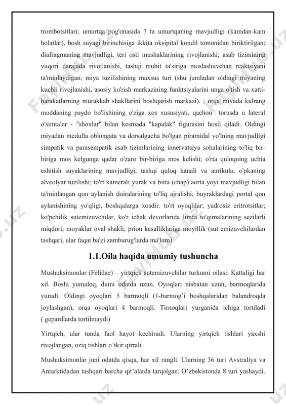 n, silovsin, ilvirs, mushuklar kiradi. yo’lbars janubiy osiyo va uzoq sharqda tarqalgan; to’ng’iz, bug’u kabi yirik hayvonlarni ovlaydi. o’zbekistonning daryo o’zanlarida to’qay mushugi, baland tog’li hududlarida ilvirs va silovsin uchraydi. ularning soni juda kamayib ketganligi tufayli “o’zbekiston respublikasining qizil kitob” iga kiritilgan. antarktida, avstraliya, yangi zelandiya, madagaskar, yaponiya va ko'pgina okean orollari bundan mustasno, mahalliy mushuklar populyatsiyalari butun dunyoda uchraydi va bitta tur - uy mushugi hozirgi paytda odamlar mavjud bo'lgan deyarli hamma joyda bor aksariyat turlar mohir alpinistlar, ko’plari esa mohir suzuvchilardir. mushuklar, ehtimol, barcha yirtqichlarning eng ixtisoslashgan ovchilaridir. ular ko'pincha o'zlarining kattaligidagi, ba'zan esa bir necha marta kattaroq o'ljani o'ldiradilar. ular tez va asosan tunda ov qilishadi. mushuksimonlar daraxtsiz tundra va qutb muzidan tashqari barcha quruqlikdagi yashash joylarida uchraydi. mujoyksimonlar barcha qit'alarda tarqalgan. yovvoyi mushuklarni avstraliya, yangi zelandiya, yaponiya, madagaskar kabi joylarda uchratishimiz mumkin. felid turlari har qanday quruqlikdagi yirtqichlarning eng xilma-xil mo'ynasini namoyish etadi. mushuklar tortiladigan tirnoqlari, …