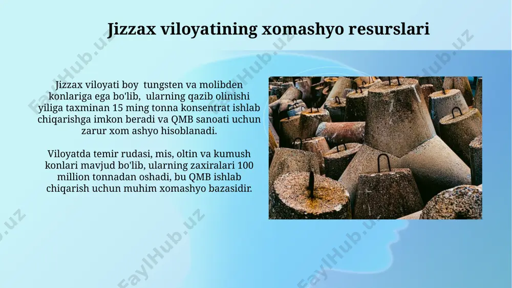 qmb ishlab chiqarishda o'zbekiston xom ashyo bazasini hududlar kesimida joylashishi - Page 5