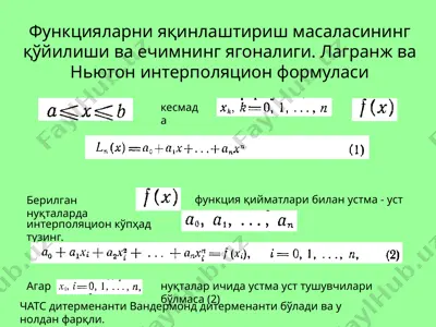 funktsionalar va interpolatsiya formulalari — PPTX