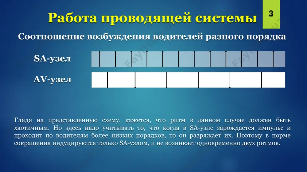 авна (8+2)–5 = 5 мм. для определения значения угла альфа необходимо в заголовках таблиц найти полученные значения для i и iii отведений, на пересечении столбцов и строк получим искомое значение. от -30º до -179º – эос отклонена резко влево от -1º до -29º – эос отклонена влево от 1º до 39º – эос расположена горизонтально от 40º до 70º – эос расположена нормально от 71º до 90º – эос расположена вертикально от 91º до 120º – эос отклонена вправо от 121º до 180º – эос отклонена резко вправо если в i и iii суммарная амплитуда отрицательная, то в данном случае правомочно говорить о s-типе эос (или эос: si-sii-siii). 22 определение эос с помощью правила «руки» - для использования этого правила необходимо представить одноканальную экг (её часть со стандартными отведениями), взятой в руки. при этом получается, что в левой руке находится i отведение, в правой – iii, а посередине – ii. …