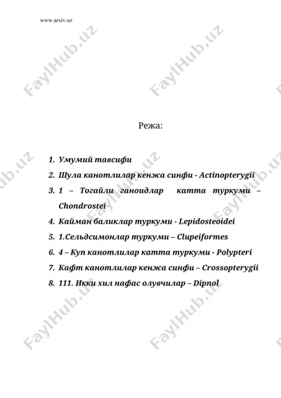 суякли баликлар синфи – osteichthyes — DOC