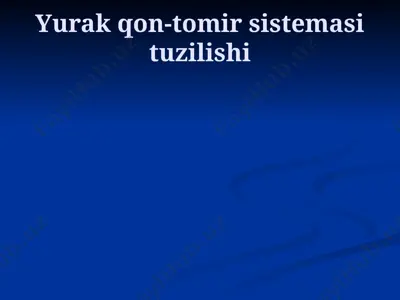 yurak-qon tomir sistemasining tuzilishi — PPTX