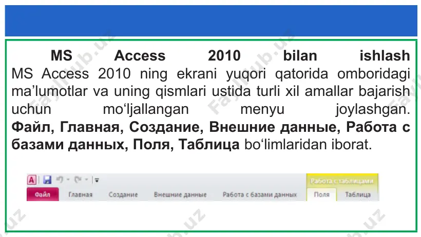 ms access 2010 - Page 4