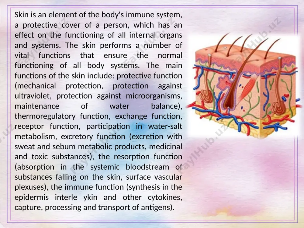 dermatology - Page 4