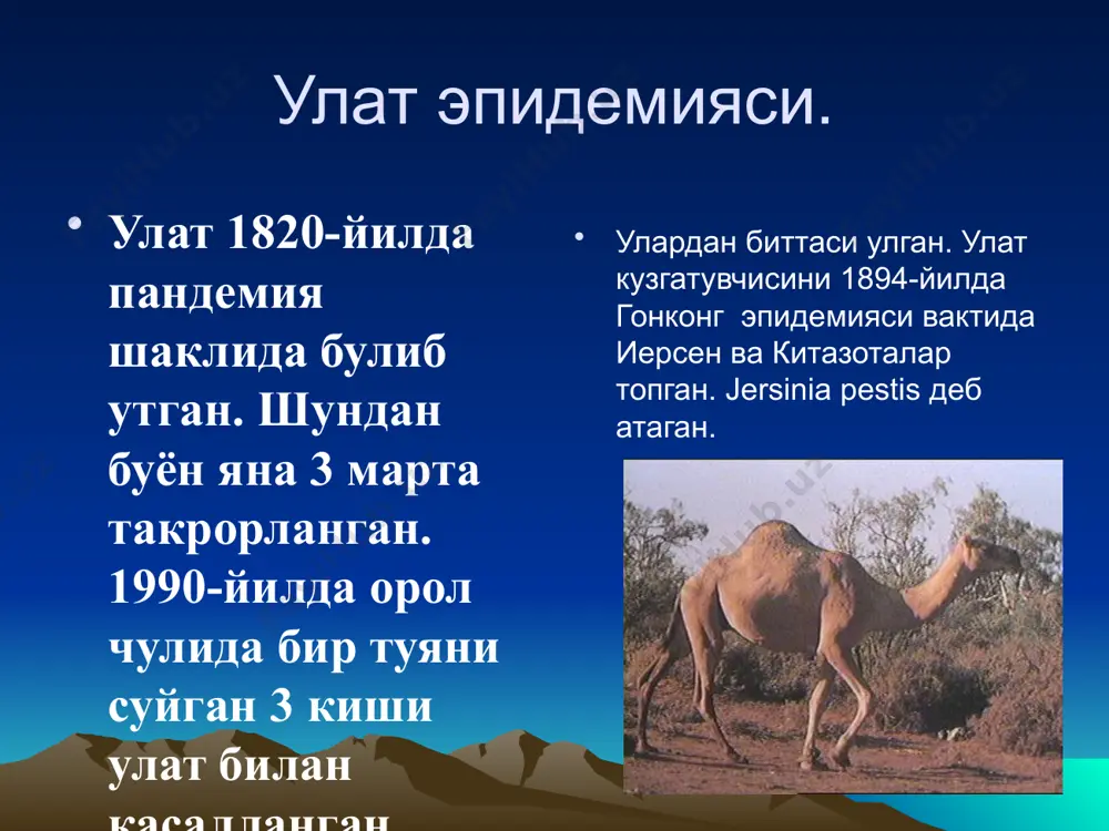 , шарсимон, колбасимон) бўлиши мумкин. спора ва хивчинлари йўқ, нозик капсула ҳосил қилади, оддий озуқа муҳитида 28ºс (0 дан 45 гача ) ҳароратда ва 6,9-7,2 рн ли шароитда яхши ўсиб, вирулентли-r ва вирулентсиз-s шаклли колониялар ҳосил қилади. 9 yersinia pestis сохраняет жизнеспособность в воде, почве, зерне или других биологических субстратах в течение нескольких дней. однако некоторые факторы, включая химические и физические свойства субстратов, температура воздуха и относительная влажность могут оказывать влияние на жизнеспособность бактерий позволяя им переживать высушивание. y. pestis легко гибнет на солнечном свете и при высушивании. даже, когда находится в воздухе, микроб сохраняется до часа, в зависимости от условий. appl environ microbiol. 2003 april; 69(4) ўлатнинг юқиш йўли ташувчи бурга xenopsylla cheopis инфекция манбаи yersinia pestis бирламчи ўчоқли бубон шакли бирламчи тарқоқ шакли бирламчи ўпка шакли a a иккиламчи ўлат b b c c,e d,e d,e 10 спорадик ҳолатларда инфекция манбаи бўлган ҳайвонлардан одамга бургалар чаққанда трансмиссив йўл …