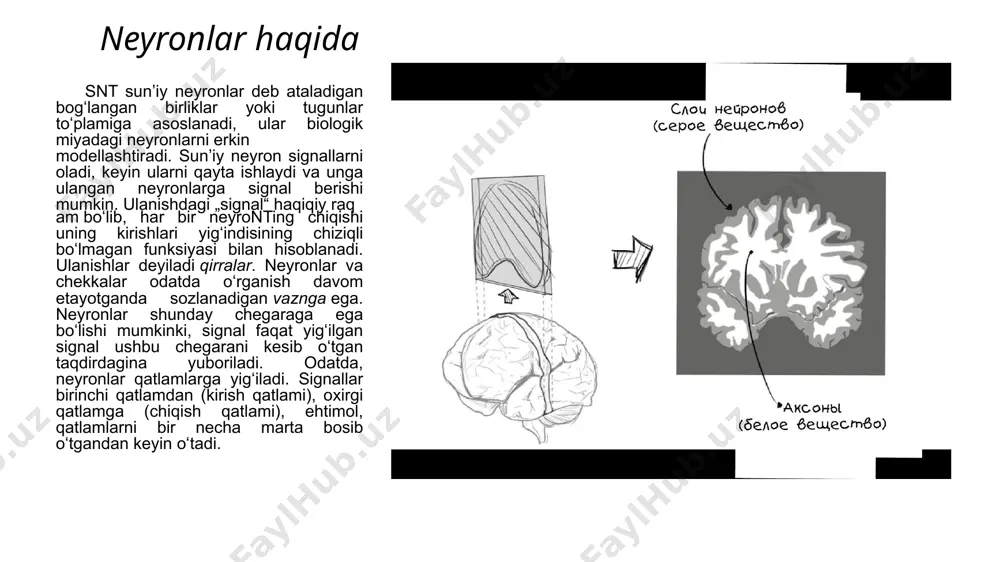 neyron tarmoqlar - Page 3