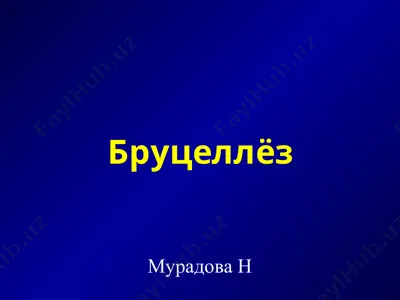 бруцеллёз — PPT