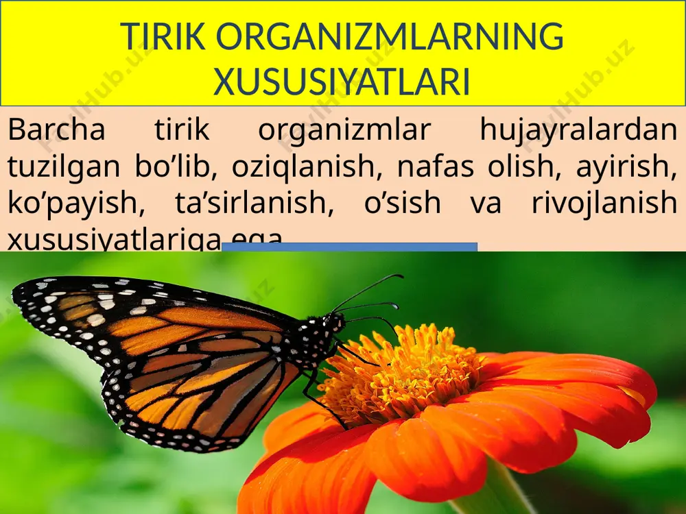 tirik organizmlarning klassifikatsiyasi - Page 4