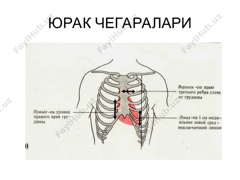 упайиши курсатилган юрак кискариш ва чузилиш узаро мувофиклиги (старлинг конуни) боудича пиллапояси (1871) юрак цикли фазалари систола диастола а –асинхронное кискариш; б – изометрик кискариш; в –кон хайдалиши; г – протодиастолик давр; д – изометрик бушашиш; е –конга тулиш фазаси; юрак цикли фазалари коринчалар систоласи 0,33 сек таранглашиш фазаси 0,08 сек; асинхрон кискариш фазаси 0,05 сек; изометрик кискариш фазаси 0,03 сек; кон хайдаш фазаси 0,25 сек; тез хайдаш фазаси 0,12 сек; секин хайдаш фазаси 0,13 сек. 2.коринчалар диастоласи 0,47 сек; протодиастолик давр 0,04 сек; изометрик бушашиш фазаси 0,08 сек; коринчалар тулиш фазаси 0,25 сек; тез тулиш фазаси 0,08 сек; секин тулиш фазаси 0,17 сек; пресистолик давр 0,10 сек. юрак циклининг турли фазаларида юрак бушликларидаги босим юрак циклининг турли фазаларида аорта,булмача ва коринчалардаги босим диастола даврининг давомийлиги зарур: 1) na-к насоси иши вакти хисобига,миокард хужайраси дастлабки кутбланишини таъминлаш учун; 2) саркоплазмадан са++ ни чикариб ташлаш учу.н; 3) гликоген ресинтезини таъминлаш учун; …