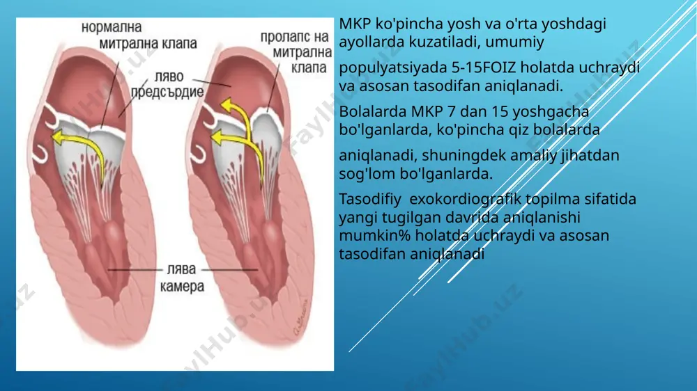 ol qilishni cheklash; o'zingizga etarli jismoniy mashqlar bering e’tiboringiz uchun rahmat image1.png image2.png image3.png image4.png /docprops/thumbnail.jpeg