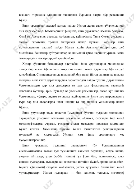 р томонига қараб борган. ёпиқ уруғлилар гулининг шу эволюцияси ҳар хил эволюцион қаторларда бир-бирига боғланмаган ҳолда мустақил давом этган. ёпиқ уруғлилар хамма ерда, ўсимликлар дунёсининг деярли энг четки чегарасида ҳам тарқалган бўлиб, нинабарглилар ўрмони, торфли ботқоқликлар ва баъзи тундраларни айтмаганда, ҳамма жойнинг манзараси ёпиқ уруғлиларга боғлиқ. одамнинг ҳаётида ва хўжалик фаолиятида ёпиқ уруғлилар бошқа ўсимлик группаларига қараганда беқиёс даражада катта рол ўйнайди. озиқ-овқат, кийим-кечак, ем-хашак, дориворлар, хўшбўй моддалар, наркотиклар, дори-дармонлар, ошловчи моддалар, каучук, гуттаперча, пўкак ва бошқа бир талай нарсалар ёпиқ уруғлилардан олинади; қурилиш материаллари, ёқилғи, буюм ясаладиган материал, қоғозни ҳам маълум даражада ёпиқ уруғлилар беради. хви асрдан бери неча ўнлаб системалар таклиф этилган бўлса-да, бошқа талайгина ўсимлик типлари сингари, ёпиқ уруғлилар тўғрисида ҳам ҳаммага манзур бўлган система йўқ. қайси ўсимлик группаларини ҳаммадан содда деб ҳисоблаш керак ва ёпиқ уруғлиларни моно-, би- ёки полифилетик йўлларнинг қайси бири билан юзага келган деб билиш керак деган асосий қоида устидаёқ ихтилофлар чиқа бошлайди. …