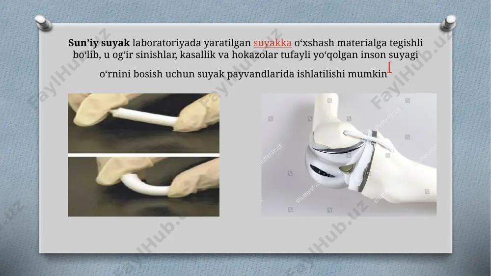 bionika asoslari va uning son hayotidagi o'rni - Page 5