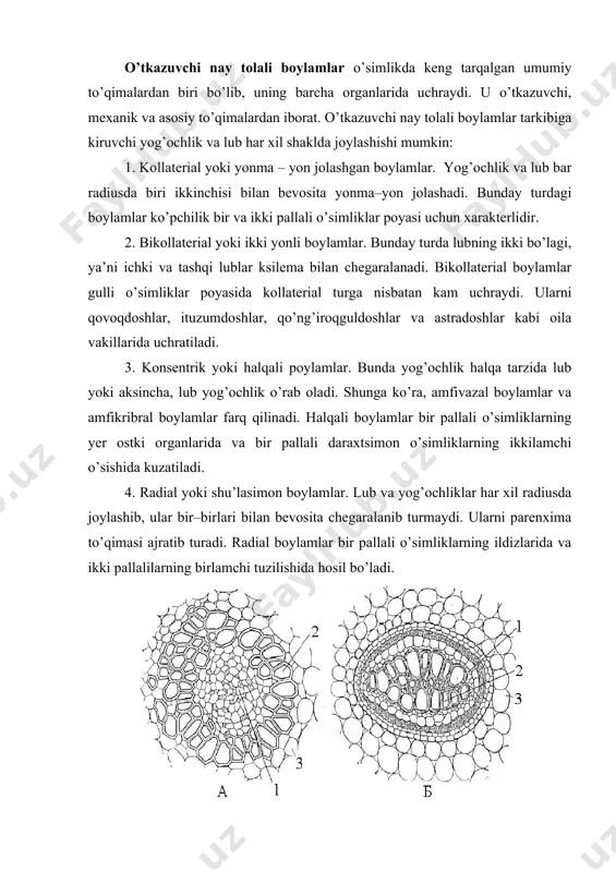 o’tkazuvchi to’qimalar - Page 5