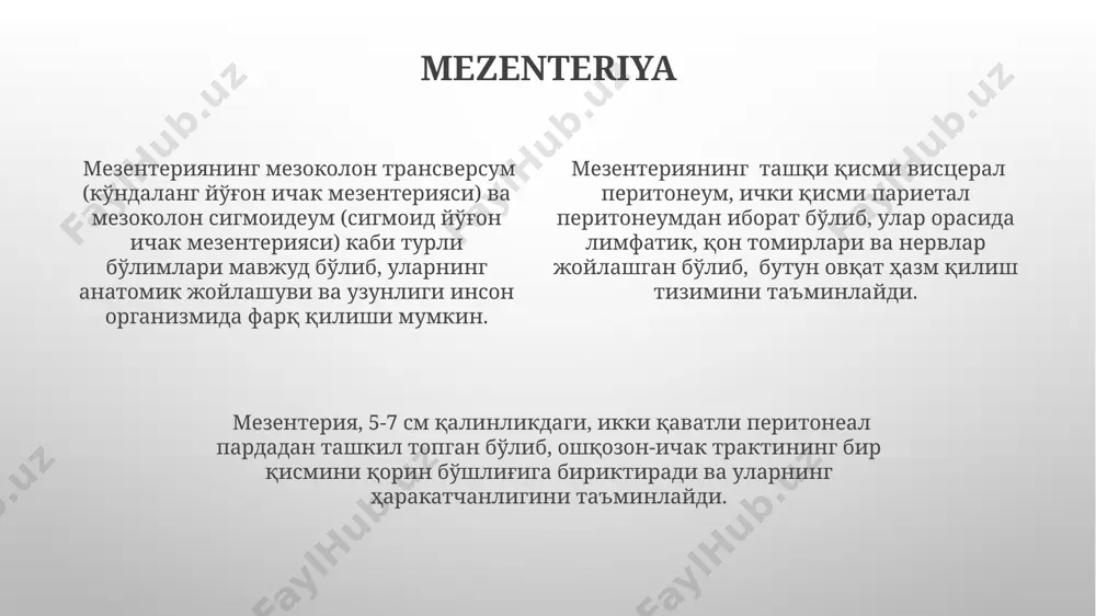 llaydi va taxminan 7 litr suyuqlikni o'z ichiga olishi mumkin, bu suyuqlik organlarni himoya qiladi va ularning harakatini osonlashtiradi. taloq va periton talok va periton o'rtasidagi bog'lanish, peritonning orqa devoriga birikkan 2 ta ligament - lienorenal va lienogastrik ligamentlar orqali amalga oshadi. talok, chap buyrakning yuqori qismida, qorin bo'shlig'ining yuqori chap kvadrantida joylashgan bo'lib, peritonning visseral varag'i bilan qoplanadi. peritonning qorin bo'shlig'ining 2/3 qismini qoplaganligi va 10 dan ortiq organni, shu jumladan, me'da, jigar va taloqni o'rab turganligi ma'lum. omentum ma'lumoti катта эпиплоик (омeнтум) ўнг ва чап қисмларидан таркиб топиб, ичакларга 4 та тасма шаклида ёпишиб туради ва жигар, талоқ ва ичак тузилмаларини ўраб олади. кичик эпиплоик (омeнтум) ошқозон ва ўн икки бармоқ ичак ўртасида жойлашиб, тахминан 5-7 см кенгликда бўлиб, ошқозоннинг кичик эгрилигини жигар билан боғлайди. ошқозон орқасида жойлашган катта ва кичик эпиплоик (омeнтум) 2 та бўлакдан иборат бўлиб, улар ошқозон ва ичак органларини ташқи таъсирлардан ҳимоя қилади ва …