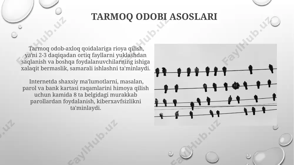 tarmoq odob axloqi - Page 4