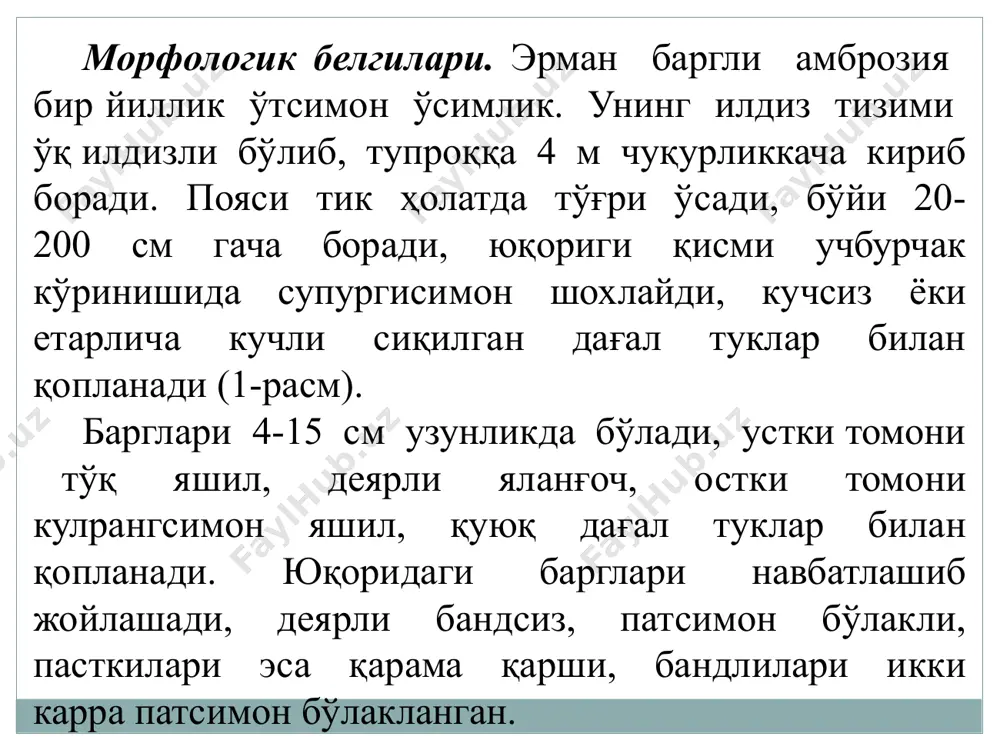 си. эрман баргли амброзия қисқа кун ўсимлиги хисобланади, иссиқсевар ва нисбатан қурғоқчиликка чидамли. ушбу карантин ўсимлик ёруғликни хуш кўради, шу боис эрта баҳордан бошлаб кучли ўса бошловчи қуюқ кўп йиллик ўтлар ва кузги ғалладошлар ушбу даврда жуда секин ривожланаётган амброзияни ўсишда орқада колдириб кетади, уни сиқиб қўяди ва нобуд бўлишига олиб келади. шу боис кўп йиллик ўтлар ва кузги галладошлар амброзиянинг табиий популяцияларини камайтириб туришда катта аҳамиятга эга ҳисобланади. эрман баргли амброзия учун энг қулай шароит ҳайдалма экинлар ерларида кузатилади. у юқори хаётчанлиги билан ажралиб туради, яъни беш марта ўриб ташланганда ҳам кўкариб чиқаверади. янги пишган уруғлари юқорида ҳам таъкидлаб ўтганимиздек, шу йилнинг ўзида жуда кам миқдорда униб чиқади, асосий қисми тиним даврига кетади. майсалари муҳит ҳарорати +6+80с дан паст бўлмаган шароитлардагина униб чиқади. зарари (хўжалик зарари). эрман баргли амброзия карантин бегона ўт ҳисобланади. у деярли барча дала экинларини ифлослантиради, айниқса сабзавот ва ҳайдалма экинлар орасида кучли тарқалади. амброзия тупроқдаги …