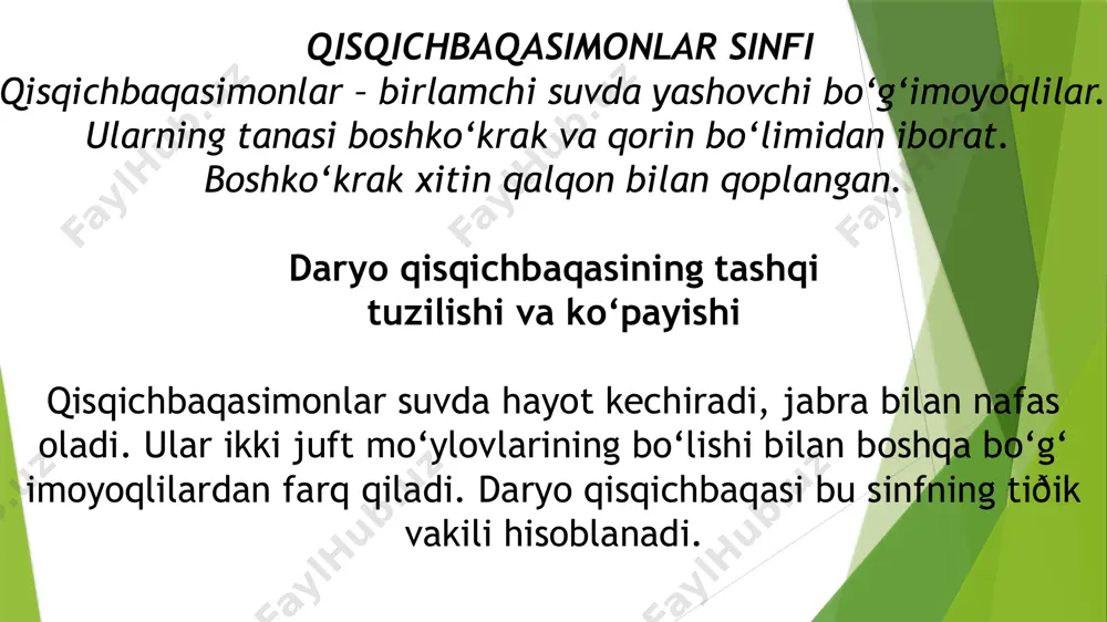 bo’g’imoyoqlilar tipi - Page 5