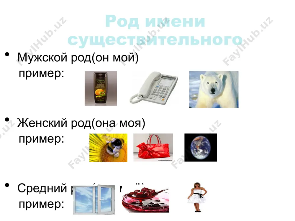 поле – вижу стол, поле); (б)р=в (одушевленные: нет брата – люблю брата). у некоторых сущ. есть р2 (килограмм сахара/сахару) и п2 (о луге – на лугу). две разновидности: (1)твердая – с основой на а) парную твердую согл. (сон, привет); б) на шипящую и ц (камыш, конец). (2)мягкая – с основой на а) парную мягкую согл. (конь, медведь); б) на (край). особо склоняются сущ. муж.р. на -ишко, -ище (домишко, волчище). image9.jpeg image1.jpeg image2.jpeg image3.jpeg image4.jpeg image5.jpeg image6.jpeg image7.jpeg image8.jpeg image10.jpeg image11.jpeg image12.jpeg image13.jpeg image14.jpeg image15.jpeg /docprops/thumbnail.jpeg