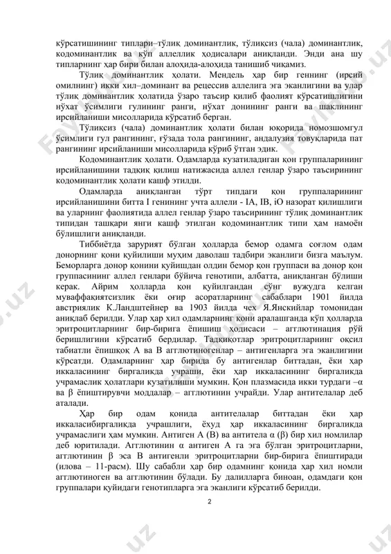 ominantlik va ko'p allellik hodisalari aniqlandi. endi ana shu tiplarning har biri bilan alohida-alohida tanishib chiqamiz. to'liq dominantlik holati. mendel har bir genning (irsiy omilning) ikki xil–dominant va retsessiv alleliga ega ekanligini va ular to'liq dominantlik holatida o'zaro ta'sir qilib faoliyat ko'rsatishligini no'xat o'simligi gulining rangi, no'xat donining rangi va shaklining irsiylanishi misollarida ko'rsatib bergan. to'liqsiz (chala) dominantlik holati bilan yuqorida nomozshomgul o'simligi gul rangining, g'o'zada tola rangining, andaluziya tovuqlarida pat rangining irsiylanishi misollarida ko'rib o'tgan edik. kodominantlik holati. odamlarda kuzatiladigan qon gruppalarining irsiylanishini tadqiq qilish natijasida allel genlar o'zaro ta'sirining kodominantlik holati kashf etildi. odamlarda aniqlangan to'rt tipdagi qon gruppalarining irsiylanishini bitta i genining uchta alleli - ia, ib, io nazorat qilishligi va ularning faoliyatida allel genlar o'zaro ta'sirining to'liq dominantlik tipidan tashqari yangi kashf etilgan kodominantlik tipi ham namoyon bo'lishligi aniqlandi. tibbiyotda zaruriyat bo'lgan hollarda bemor odamga sog'lom odam donorning qoni quyilishi muhim davolash tadbiri ekanligi bizga ma'lum. …