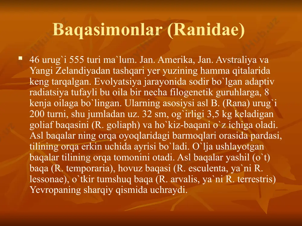 suvda va quruqlikda yashovchilar - Page 4