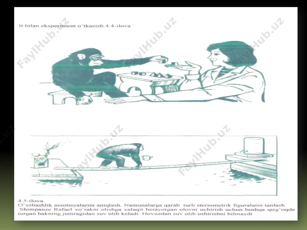 psixika va ongning taraqqiyoti - Page 4