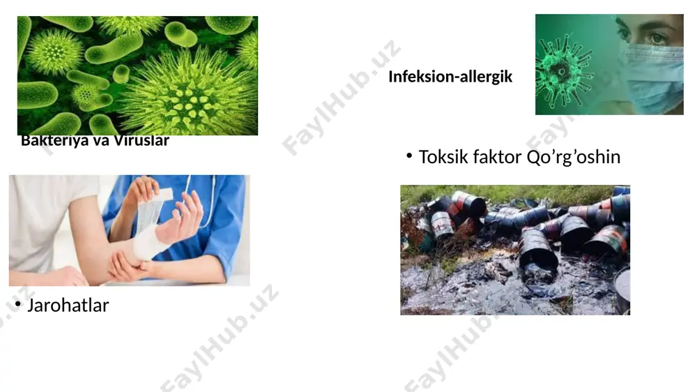 tar yo‘l orqali o‘tish echkining xom sutini iste’mol qilganda ro‘y beradi. sigir organizmida kana ensefaliti virusi rivojlana olmaydi. it, qo‘y, cho‘chqa, ot, maymun va oq kalamushlar ushbu virusga sezgir bo‘lishadi. bu kasallik bemor kishidan sog‘lom kishiga yuqmaydi va kasallangan odamda kana ensefalitiga nisbatan turg‘un immunitet qoladi patogenezi. kana teriga chuqur yopishib oladi va odamning qonini so‘ra boshlaydi. virus teriga o‘tgan zahoti ko‘paya boshlaydi va mahalliy yallig‘lanish reaksiyasini yuzaga keltiradi. oradan 4–5 kun o‘tgach, kana teridan o‘zi tushib ketadi. ba’zida odam o‘z tanasida kanani ko‘rib, uni qo‘li bilan olib tashlaydi. virus qonga tushgach, virusemiya davri boshlanadi, ya’ni virus qon orqali barcha a’zo va to‘qimalarga tarqaladi. kasallikning yashirin davri 5–25 kunga, o‘rtacha 7–14 kunga teng. alimentar yo‘l orqali zararlanishda inkubatsiya davri juda qisqa bo‘lib, 2–3 kunni tashkil qiladi. klinika kasallik o‘tkir boshlanadi. tana harorati 39–41°c ga ko‘tariladi. bemor chidab bo‘lmas darajada kuchli bosh og‘riqdan shikoyat qiladi, ko‘ngli aynib, ketma-ket qusa boshlaydi. keyinchalik …