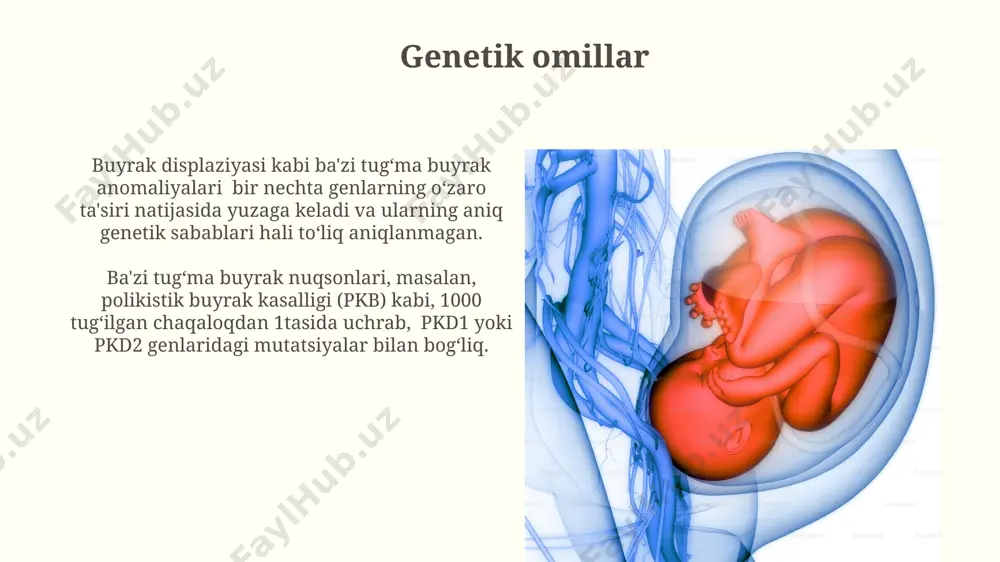 buyraklarning tug'ma va orttirilgan nuqsonlarini davolash. - Page 5
