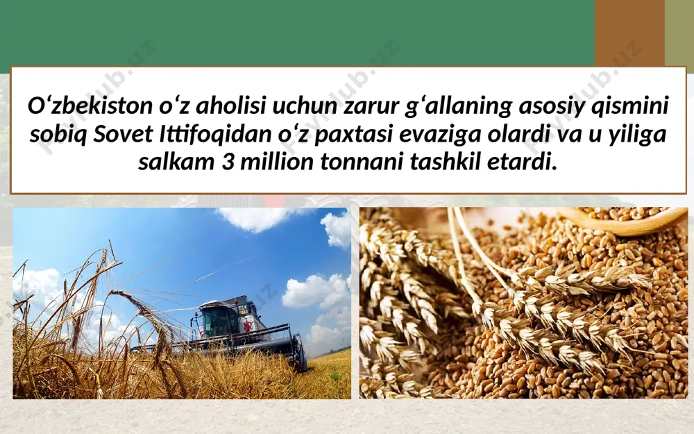 o‘zbekiston iqtisodiyotidagi yutuqlar. 5 - sinf - Page 3