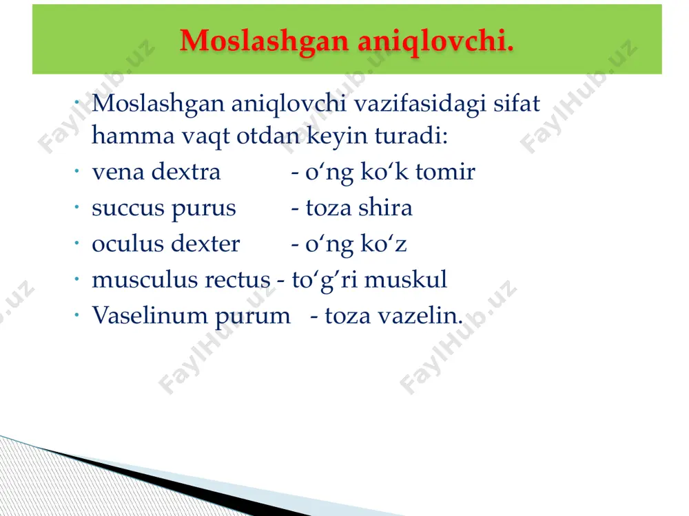 moslashgan aniqlovchi ishtirokida atamalar 2 - Page 3