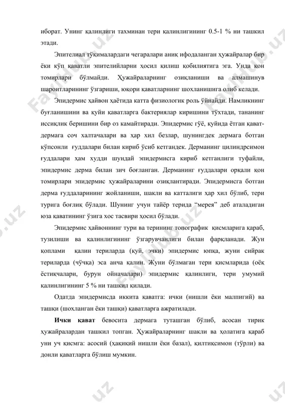 иснинг бакувватлироқ қавати - ҳақиқий шохли қават – бўш, шохланган қобиқчалардан ташкил топган тангачалар шаклидаги шохланган ҳужайралардан иборат. бу бўшлиқлар ҳаво ёки тери ёғи деб юритиладиган модда билан тўлдирилган. шохли қаватнинг юқори қисмида шохланган ҳужайралар орасидаги боғ узилиб, улар эпидермисдан осонгина ажралади. шунинг учун шохланган ҳужайраларнинг ушбу юқори қавати кепакланади. малпигий қаватида махсус толачаларнинг мавжудлиги, унинг ўзига хос хусусияти ҳисобланади. нишли қаватнинг плазматик моддаси толали структурага эга. протоплазманинг ингичка толачалари, ҳужайрадан ҳужайрага ўтиб, каркас ёки гумбаз ҳосил қилади. ўз навбатида бу гумбаз, нишли қават учун таглик вазифасини ўтайди. ушбу толачалар афтидан шохланиш табиатига эга. улар етарлича мустаҳкамликка эга бўлиб, малпигий қавати ҳужайраларининг ядросини эгиб, эпидермис деформацияланганда, уларни шикастланишдан сақлайди. бундан ташқари ушбу қават ҳужайраларидан дерма томон плазматик ғуддалар бўртиб чиққан бўлиб, улар дерма юза қаватининг толалараро оралиқларига кириб кетади. ана шундай қилиб, эпидермис дерма сиртида бир неча марталаб маҳкамланади ва шу билан биргаликда тери қопламининг ушбу қаватларида боғланиш амалга ошади. …