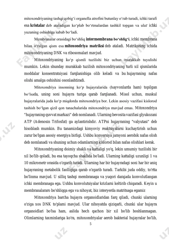kechadi. mitoxondriya ham xuddi xloroplast kabi ikki qavat membranadan tashkil topib, gelsimon sitozolning ichida joylashgan boʻladi. ovalsimon shaklda boʻlgan https://uz.khanacademy.org/science/biology/cellular-respiration-and-fermentation/intro-to-cellular-respiration/a/intro-to-cellular-respiration-and-redox 5 mitoxondriyaning tashqi qobigʻi organella atrofini butunlay oʻrab turadi, ichki tarafi esa kristalar deb ataladigan koʻplab boʻrtmalardan tashkil topgan va ular ichki yuzaning oshishiga sabab boʻladi. membranalar orasidagi boʻshliq intermembrana boʻshligʻi, ichki membrana bilan oʻralgan qism esa mitoxondriya matriksi deb ataladi. matriksning ichida mitoxondriyaning dnk va ribosomalari mavjud. mitoxondriyaning koʻp qismli tuzilishi biz uchun murakkab tuyulishi mumkin. lekin shunday murakkab tuzilish mitoxondriyaning turli xil qismlarida moddalar konsentratsiyasi farqlanishiga olib keladi va bu hujayraning nafas olishi amalga oshishini osonlashtiradi. mitoxondriya insonning koʻp hujayralarida (hayvonlarda ham) topilgan boʻlsada, uning soni hujayra turiga qarab farqlanadi. misol uchun, muskul hujayralarida juda koʻp miqdorda mitoxondriya bor. lekin asosiy vazifasi kislorod tashish boʻlgan qizil qon tanachalarida mitoxondriya mavjud emas. mitoxondriya "hujayraning quvvat markazi" deb nomlanadi. ularning bevosita vazifasi glyukozani atp (adenosin trifosfat) ga aylantirishdir. atpni hujayraning …