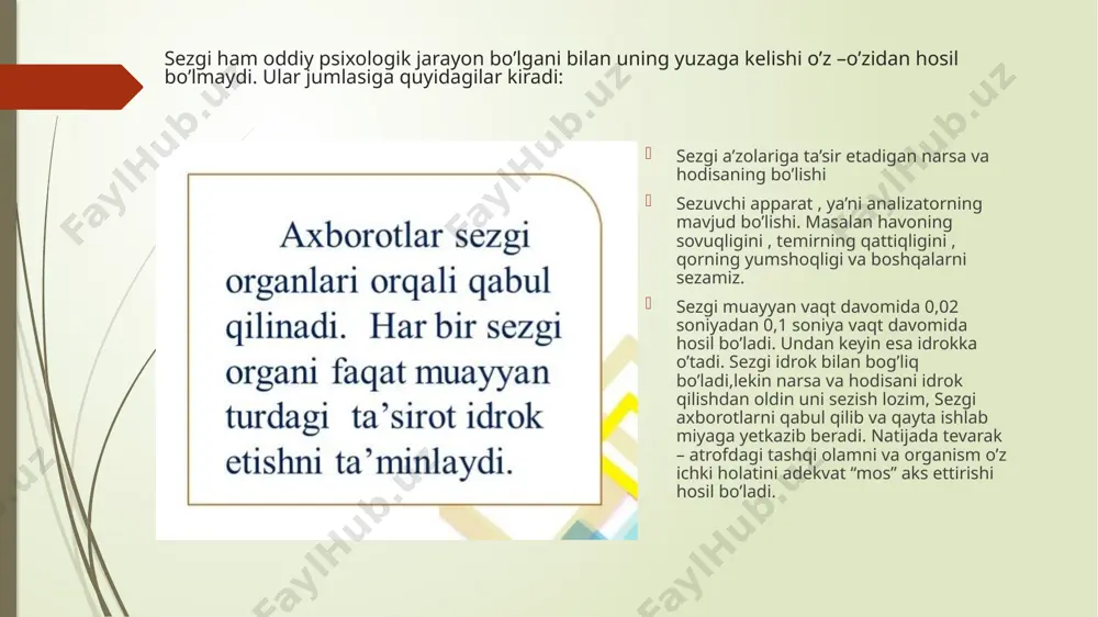 sezai hagida tushunche - Page 3