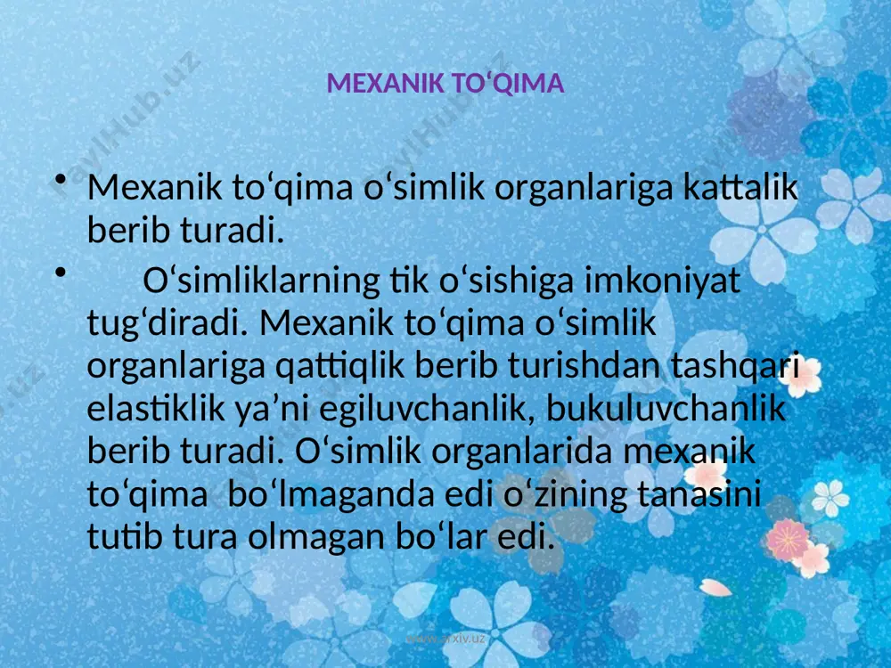 urchakli kollenxima uchraydi. kollenxima 2 pallali o‘simliklar orasida keng tarqalgan.bir pallali o‘simliklarda uchragan taqdirda ham faqat poya bo‘g‘imlari atrofida bo‘ladi. www.arxiv.uz sklereidlar. (toshsimon to‘qima). sklereidlarning xu-jayra po‘sti juda qalinlashgan. shuning uchun ham sklereid xujayrasi o‘lik bo‘ladi. ba’zi sklereidlar xujayra po‘stida lignindan tashqari qum-tuproq xamda ohak bo‘ladi. sklereidlarni yog‘och tipdagi yong‘oq, o‘rmon yong‘og‘i va dublarda, meva po‘chog‘ida,o‘rik, shaftoli, olcha, olxo‘ri va boshqalarning meva danaklarida, nok, behi mevalarida uchraydi. www.arxiv.uz yog'ochlik tola(sklirenxima) a. ko'ndalang kesimi, б. uzunasiga kesimi: 1-hujayra po'sti, 2-oddiy teshikcha(plazmodesma), 3-hujayra bo'shligi. nok mevasidagi toshsimon hujayralar. a-nok mevasi, б-skleriyd, b-kattalashgan skleriyd, 1-shirali parenxima, 2-hujayra po'sti, 3-4-oddiy teshikcha, 5-hujayra bo'shlig'i. www.arxiv.uz sklerenxima. o‘simlik dunyosida juda ko‘p tarqalgan, o‘simlik uchun juda katta ahamiyatga ega bo‘lgan to‘qimadir. sklerenxima prozenxima shaklidagi qalin devorli, uchlari urchuqqa o‘xshab o‘tkirlangan xujayradan iborat. sklerenxima xujayra po‘stilignin bilan sug‘orilib yog‘ochlangan. shuning uchun ham sklerenxima o‘lik bo‘ladi. sklerenxima o‘simliklarning po‘stloq qismida joylashgan bo‘lsa, stereid (floematolasi), yog‘ochlik qismida joylashgan bo‘lsa libriform …
