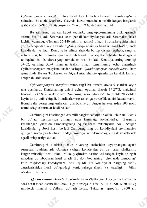 l -bargning 25 foizi zararlanadi, 3 ball- bargning 75 foizi zararlanadi. kasallik kuchli rivojlangan yillarda bir tup tut daraxtidan 16-20 kg hosil olish o‘rniga hosildorlik 4-8 kg/ga tushib ketadi. kasallik bargda hosil bo‘lgan konidiyalar hisobiga shamol va suv vositasida tarqaladi. kasallikka xasak, saniish-3,5, jar ariq navlari beriluvchan, kokuso-70, sioziso, vostok, gruziya navlari chidamlidir. bu kasallikniig nomlanishi xoldorlik so‘zidan kelib chiqqan bo‘lib kasallik qo‘zg‘atuvchisi cylindrosporyum zamburug‘i keltirib chiqaradi. kasallik yaponiya, italiya, bolgariya, turkiya, fransiya, germaniya, buyuk britaniya, aqsh, markaziy osiyo, kavkaz orti, qrim va ukrainada keng tarqalgan bu kasallikni dastlab 1814 yilda italiyada, 1918 yilda markaziy osiyoda, 1925 yilda toshkent atrofida tarqalganligi aniqlangan (zaprometov, 1950). kasallikning tashqi belgilari dastlab barg yuzasida har xil shakldagi qo‘ng‘ir rangdagi yumaloq dog‘lar paydo bo‘ladi. bu dog‘larning chegarasi barg tomirigacha bo‘lgan joylarni egallab, atrofi hoshiya bilan o‘raladi. dog‘ hosil bo‘lgan to‘qimalar nobud bo‘ladi. bargning orqa tomoni zamburug‘ning mitseliysida hosil bo‘lgan konidiyalar bilan qoplanadi. dog‘lar dastlab hosil …